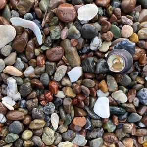 Meet your Posher, Candace